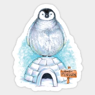 Beautiful Baby Penguin Bird Sticker